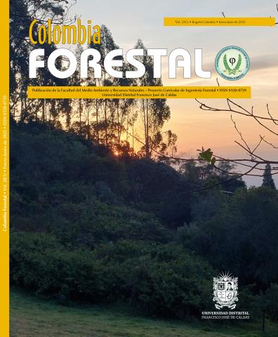 Colombia Forestal